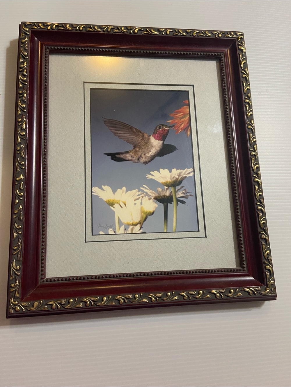 Ornate Mahogany and Gold Picture Frame with Hummingbird Art - Mahogany/Gold